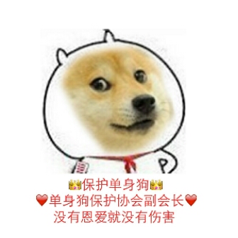 单身狗保护协会副会长
