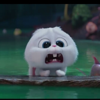 三年浮夸终成孤独