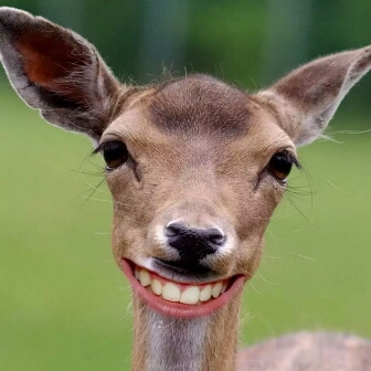 xplay5a进 - vivo官网社区